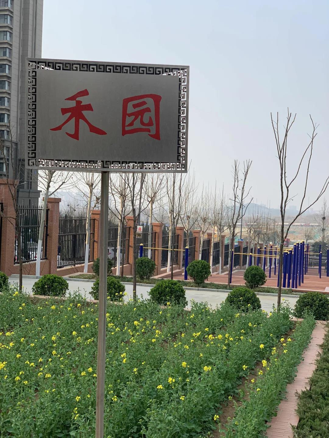 和园.jpg